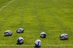 Match-Quality Rugby Ball